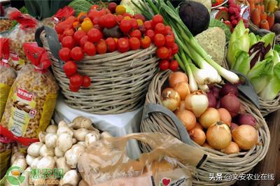 農產品如何注冊商標？食用農產品商標注冊全流程與費用詳解